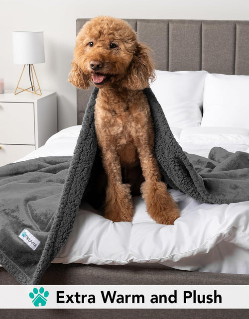 Load image into Gallery viewer, Dog Blanket for Small Medium Dogs, Pet Bed Blanket Cat Puppy Kitten, Fleece Furniture Couch Cover Protector Sofa Car, Soft Sherpa Dog Throw Plush Reversible Washable, Mini 29X40 Solid Dark Gray
