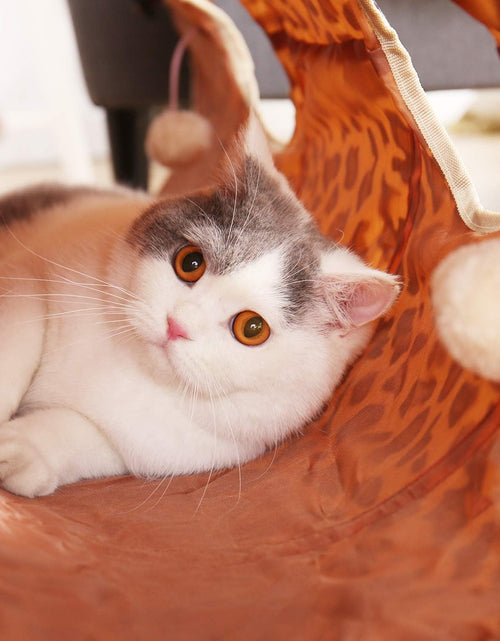 Load image into Gallery viewer, Cat Toys Collapsible Tunnel Dog Tube for Fat Cat,Rabbits,Dogs Length 51" Diameter 12"
