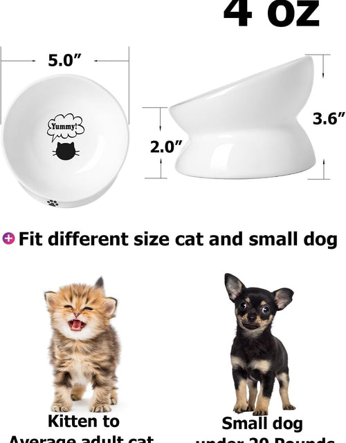 Load image into Gallery viewer, Cat Bowl anti Vomiting, Raised Cat Food Bowls, Tilted Elevated Cat Bowl, Ceramic Pet Food Bowl for Flat Faced Cats, Small Dogs, Protect Pet'S Spine, Dishwasher Safe
