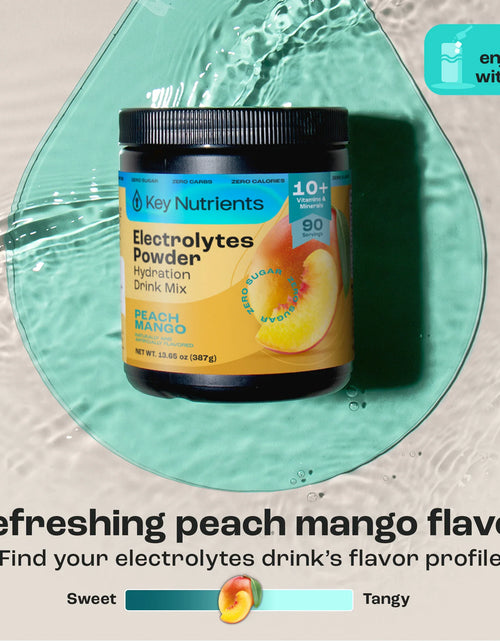 Load image into Gallery viewer, Electrolyte Recovery Plus Powder (Sugar-Free)
